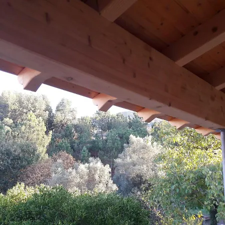 Charming House In With Shared Pool بيت للعطل Póvoa de Lanhoso