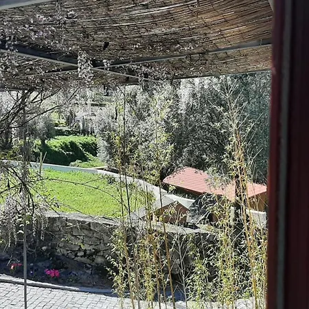 Charming House In With Shared Pool *